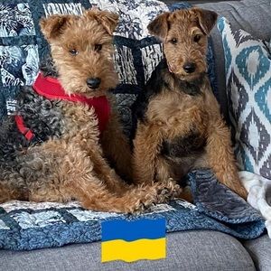 Meet your Posher, Tara